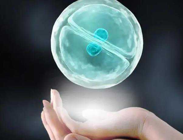 上海助孕代怀,2023年上海试管供卵助孕生子机构排名？